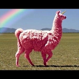 Meet your Posher, Lynn